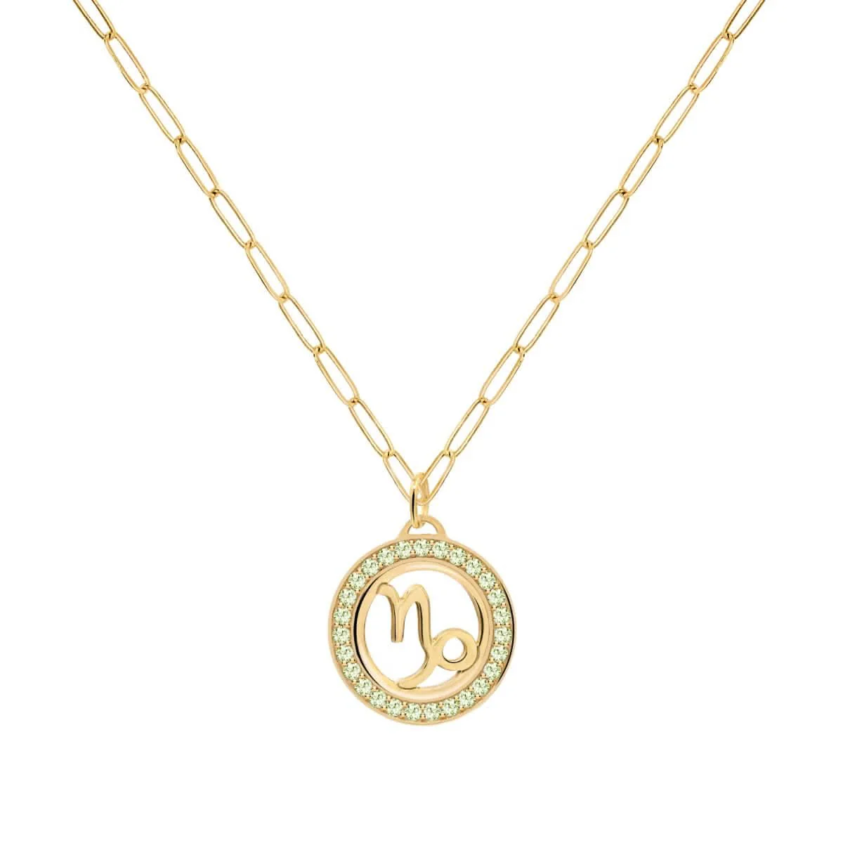 Capricorn & Birthstone Pendant in 14k Gold - Image 8