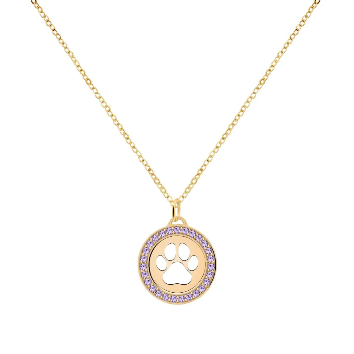 Paw & Amethyst Pendant in 14k Gold (February) - Image 4