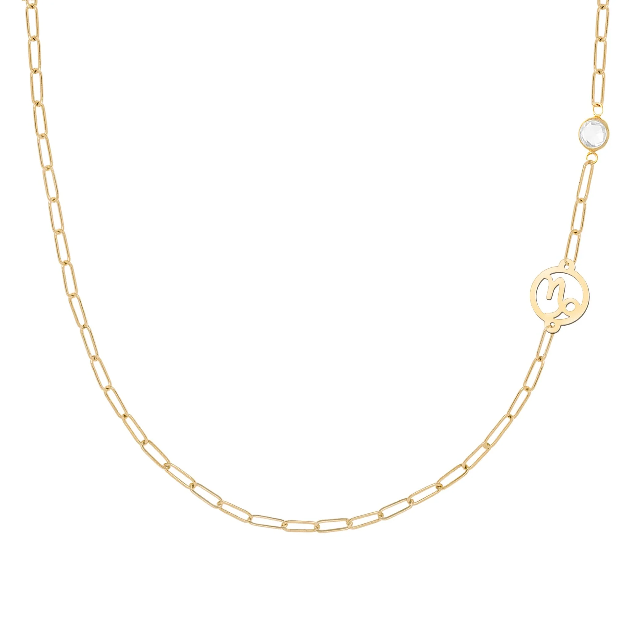 Capricorn & Birthstone Necklace on Adelaide Mini in 14k Gold