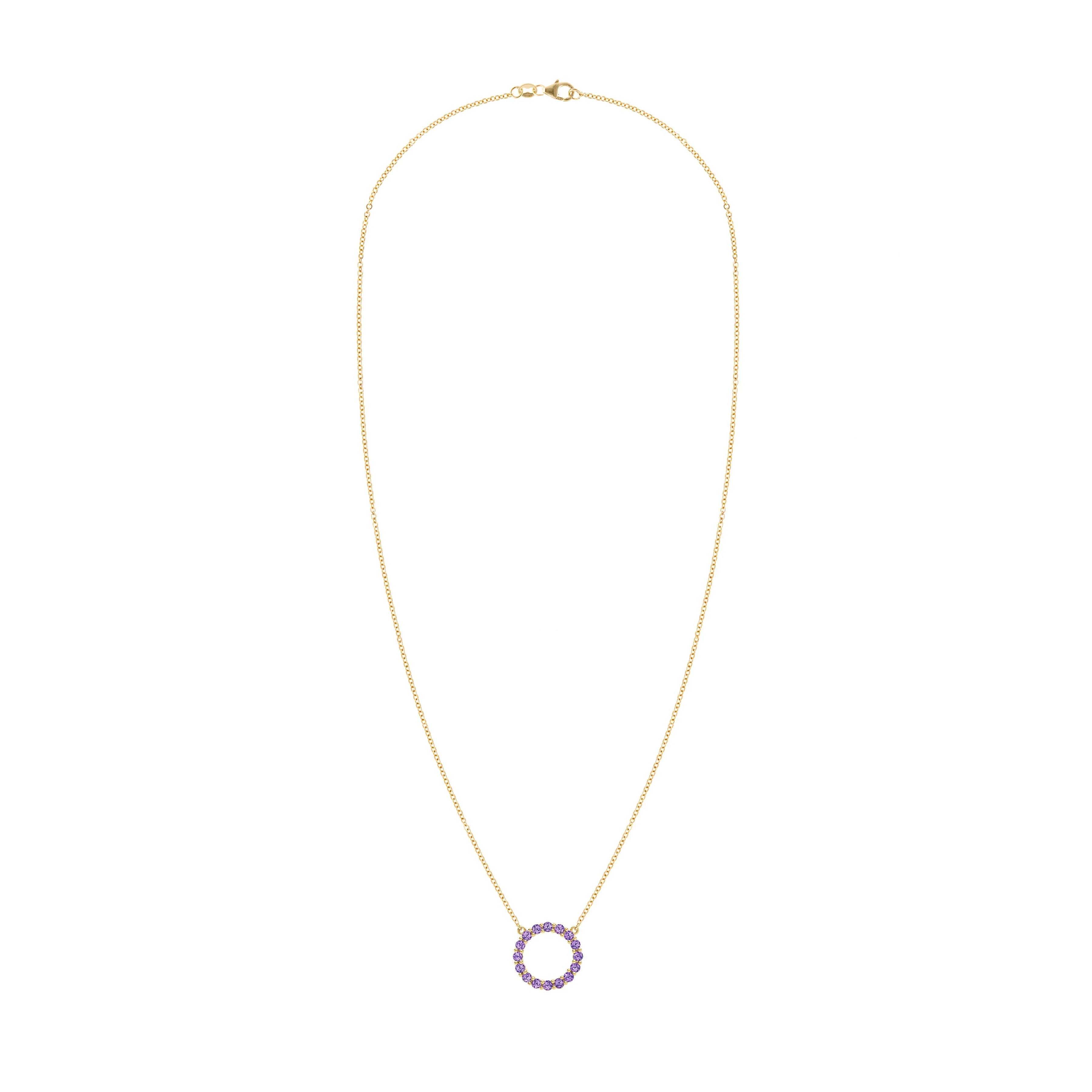 Rosecliff Circle Amethyst Necklace in 14k Gold (February) - Image 5
