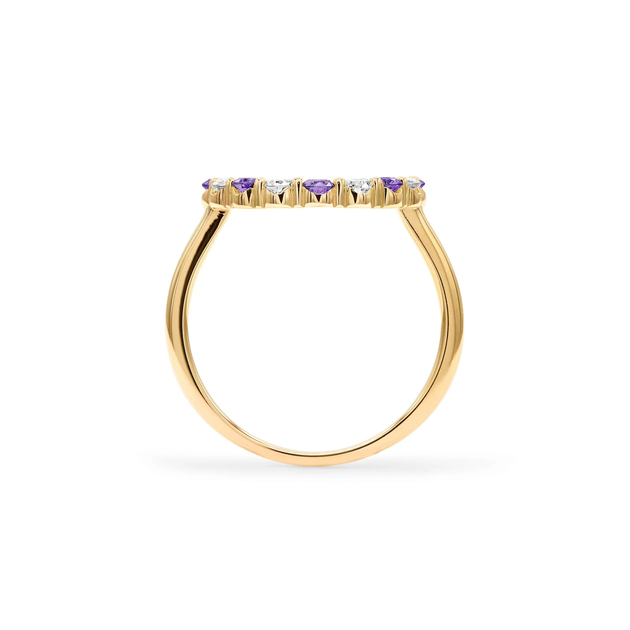 Rosecliff Circle Diamond & Amethyst Ring in 14k Gold (February) - Image 4