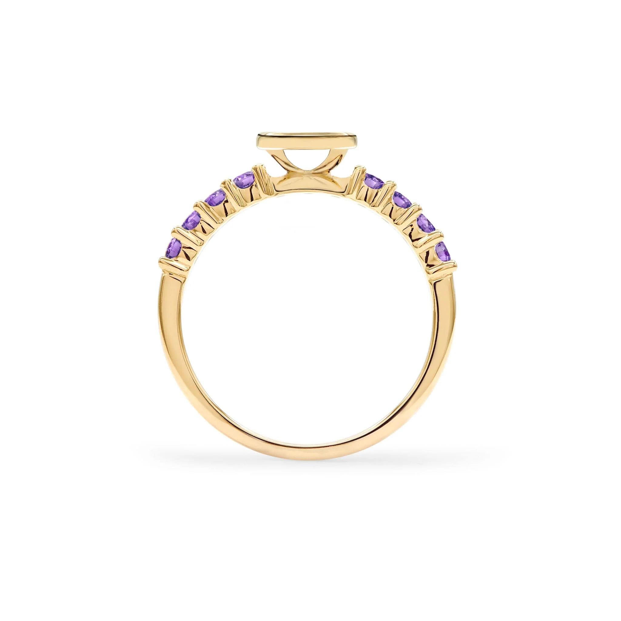 Rosecliff Letter Amethyst Ring in 14k Gold (February) - Image 4