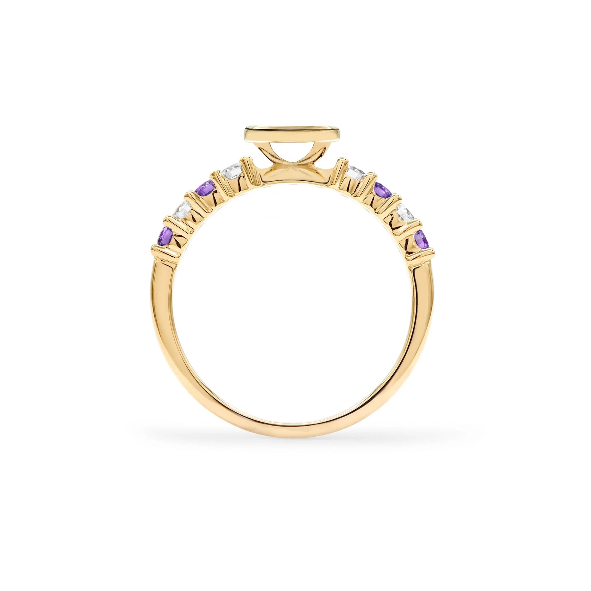 Rosecliff Letter Diamond & Amethyst Ring in 14k Gold (February) - Image 4