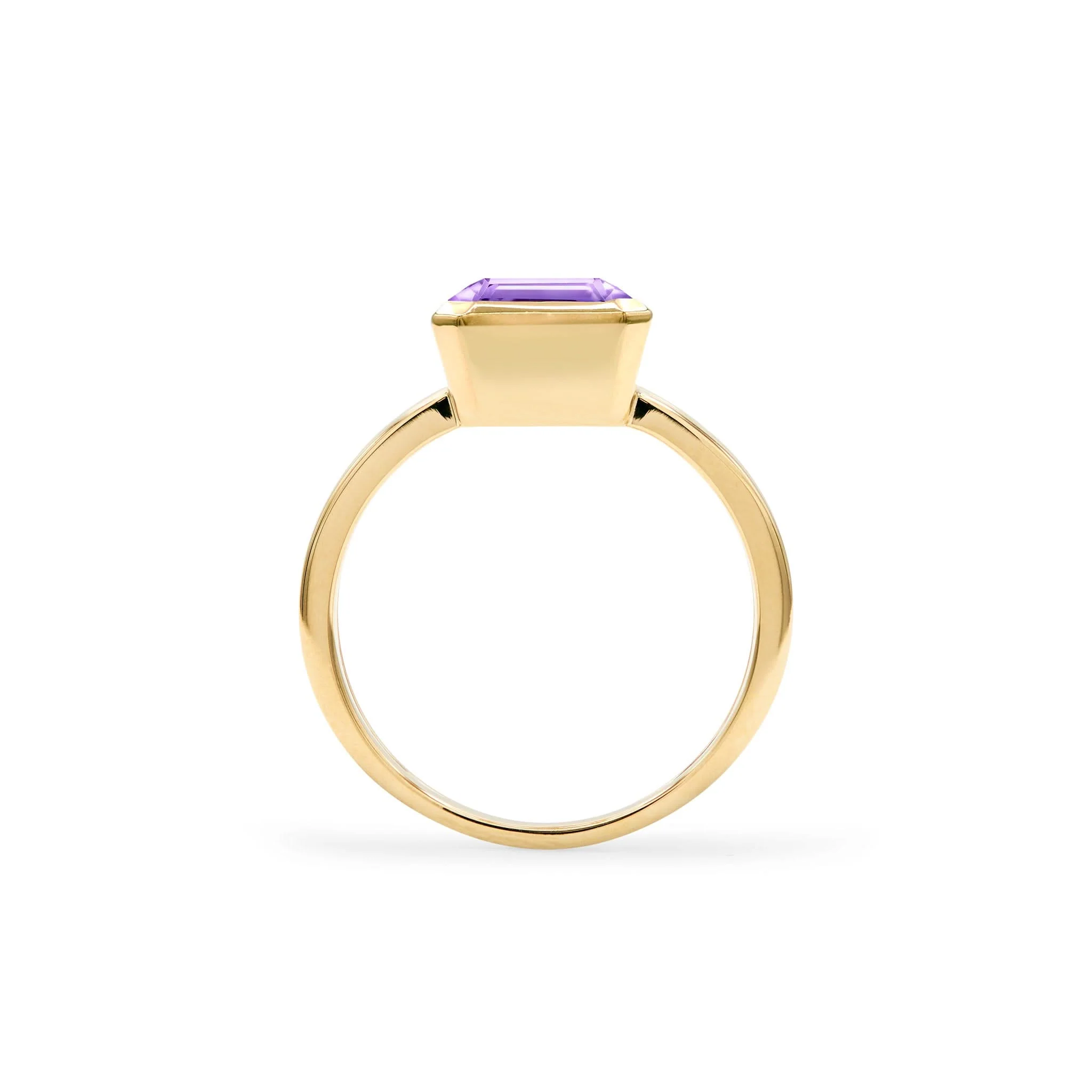 Warren Vertical Amethyst Ring in 14k Gold (February) - Image 5